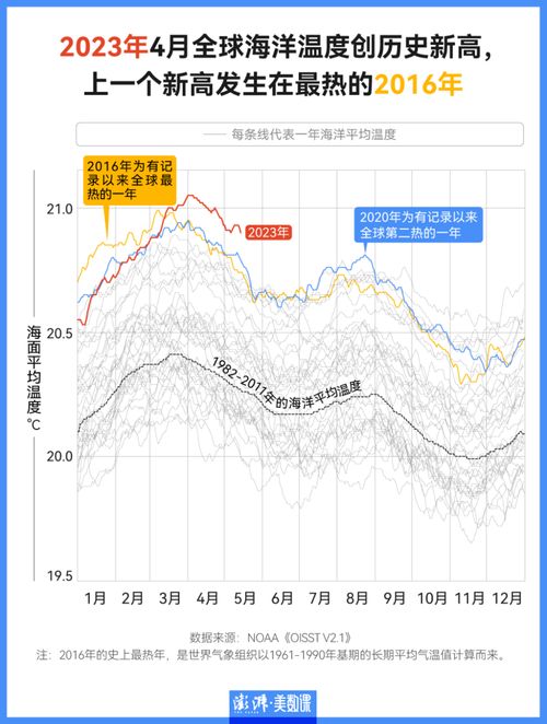 2023澳门开奖历史记录查询结果——2023澳门开奖历史记录查询结果表格