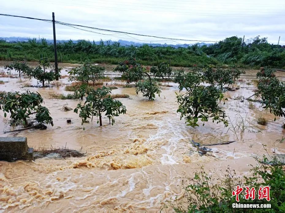 福建局地或有特大暴雨——福建省暴雨预警最新