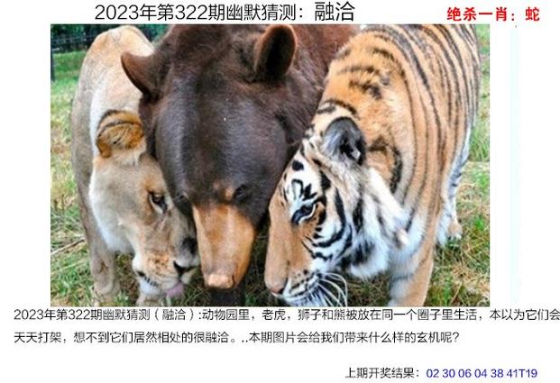 2023正版澳门开奖记录,设计策略快速解答_整版DKJ656.74