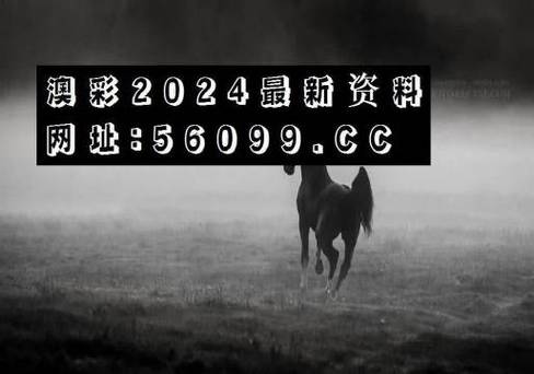 2023年澳门慈善网资料大全,绝对策略计划研究_社交版40.12.0